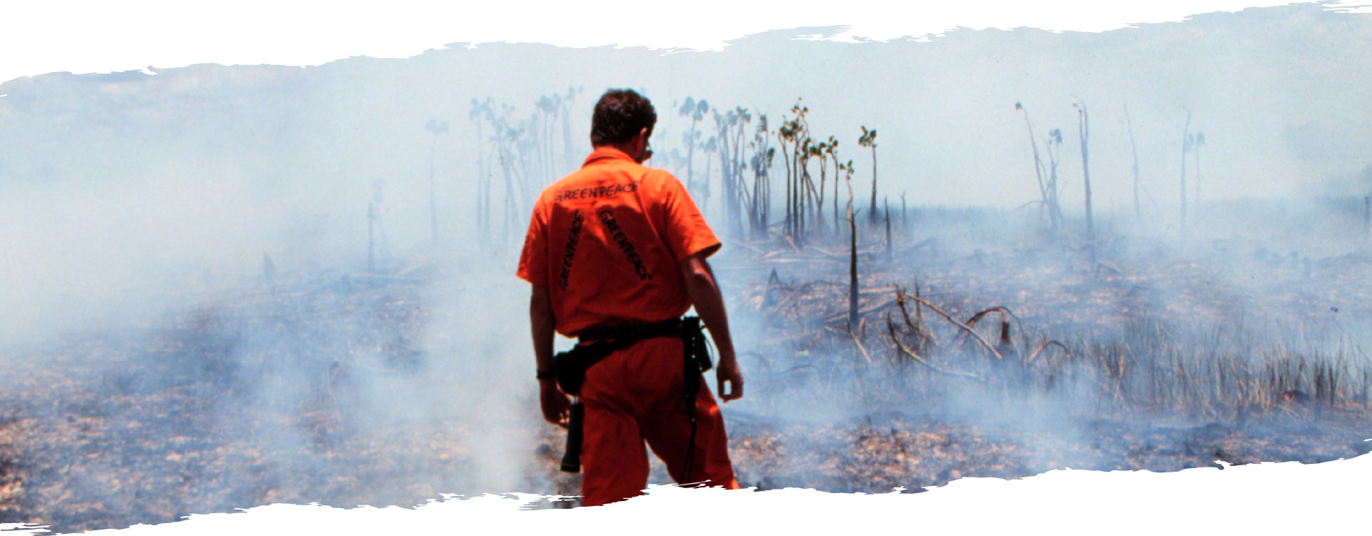 activiste Greenpeace de dos regardant les dégâts provoqués par un feu de forêt